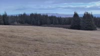 Fritz Creek - Kenai Peninsula