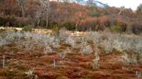 Navarino - Puerto Williams - Parco Etnobotanico Omora