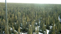 Delta Junction - Fort Greely - Taiga
