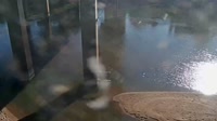 Cayce - Congaree River
