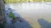 West Columbia - Congaree River