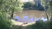 Bent Creek - French Broad River