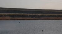 Malta - American Prairie