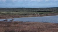 Malta - American Prairie