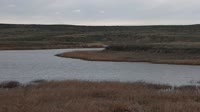 Malta - American Prairie