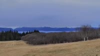 Fritz Creek - Kenai Peninsula
