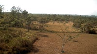 La Democracia - Monkey Bay Wildlife Sanctuary