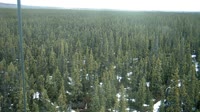 Delta Junction - Fort Greely - Taiga