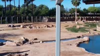 Tucson - Reid Park Zoo