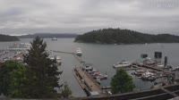 Friday Harbor - Raccolta di webcam