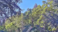 Big Sur - Big Sur River Inn
