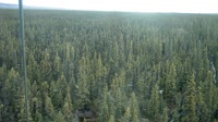 Delta Junction - Fort Greely - Taiga