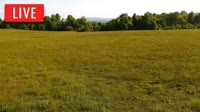 LaFollette - Hatfield Knob Elk