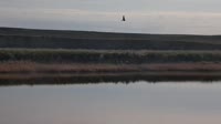 Malta - American Prairie