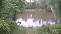 Bent Creek - French Broad River