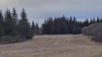 Fritz Creek - Kenai Peninsula