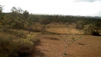 La Democracia - Monkey Bay Wildlife Sanctuary
