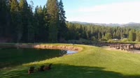 Quincy - Greenhorn Dude Ranch