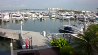 Tampa - Westshore Yacht Club Marina