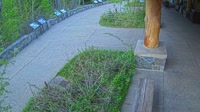 West Glacier - Apgar Visitor Center