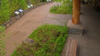 West Glacier - Apgar Visitor Center