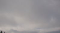 Miniatiūra