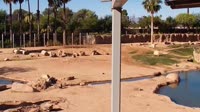 Tucson - Reid Park Zoo