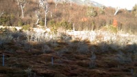Navarino - Puerto Williams - Parco Etnobotanico Omora