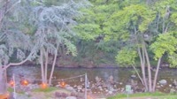 Big Sur - Big Sur River Inn