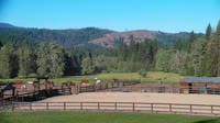 Quincy - Greenhorn Dude Ranch