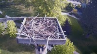Coeur d'Alene - Osprey nest
