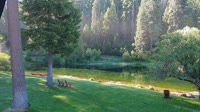Quincy - Greenhorn Dude Ranch