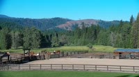 Quincy - Greenhorn Dude Ranch