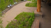 West Glacier - Apgar Visitor Center