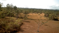 La Democracia - Monkey Bay Wildlife Sanctuary
