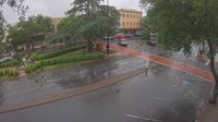 Forest City - Downtown