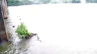 West Columbia - Congaree River
