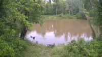 Bent Creek - French Broad River