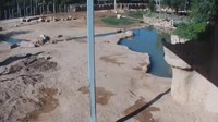 Tucson - Reid Park Zoo