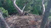 Hilton Head Island - Adlernest