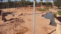 Tucson - Reid Park Zoo