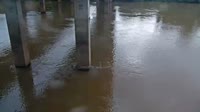 Cayce - Congaree River