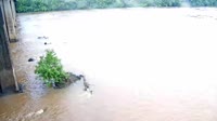 West Columbia - Congaree River