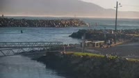 Bermagui - Marina
