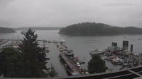 Friday Harbor - Zbiór kamer