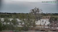 Westminster - Standley Lake Regional Park - Águilas calvas