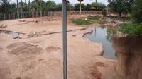 Tuksonas - Reid Park Zoo