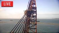 Richmond - águila pescadora