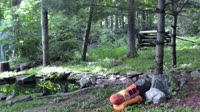 Lewisboro - Wolf Conservation Center