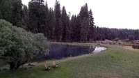 Quincy - Greenhorn Dude Ranch